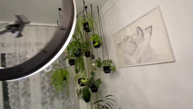 Идея для размещения цветов в интерьере.