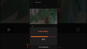 How To Reverse Video in VideoShow