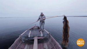 Что нашли в морской капусте? Доброе утро. Фрагмент выпуска от 26.08.2020