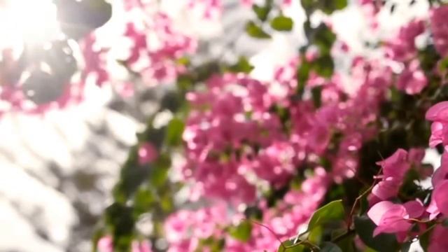 Connect to HIGHER SELF Guided Meditation I Ching Hexagram #44 смотреть онлайн