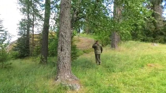 База отдыха Янисъярви