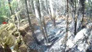 Как тушат лесные пожары в Якутии 2021