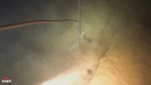 Подводная охота в подмосковье