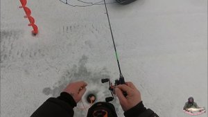 Рыбалка на судака на вибы Little jack: Уловистая приманка для зимней рыбалки