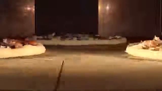 Cuppone Giotto смотреть онлайн