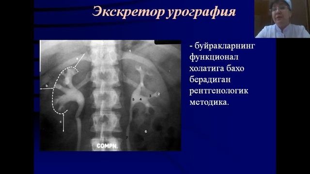 Гепатодуоденал ва сийдик ажратиш тизими касалликларини  нурли  диагностикаси
