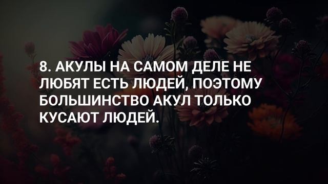 Сборник фактов обо всём! ! Сборник фактов? смотреть онлайн