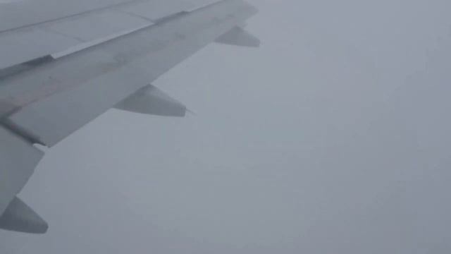 Посадка самолёта  в Питере