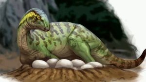 идеи для обновления //The Cursed Isle\\