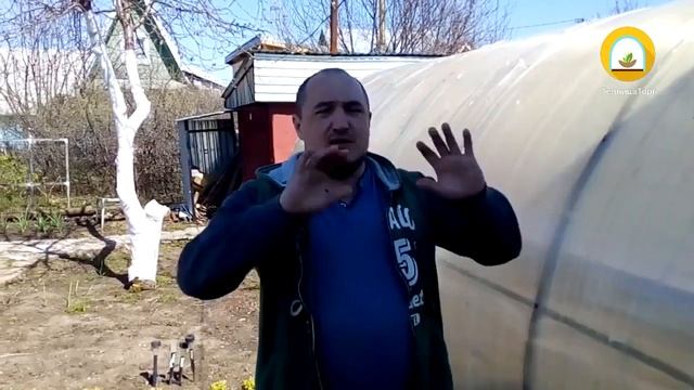 Минусы теплиц из поликарбоната
