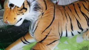 Обзор всех моих мягких тигров  в 2022 году