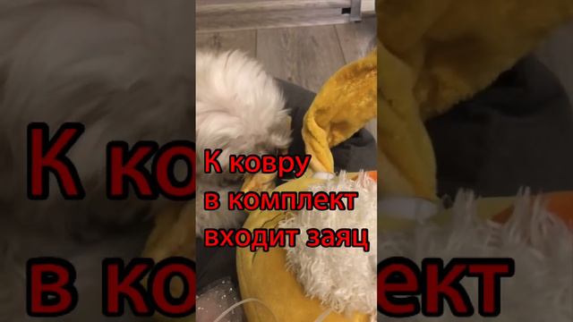 Продаётся ковёр!!! Зайди в комментарии