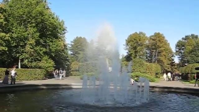 Фонтан в ботаническом саду, Киев смотреть онлайн