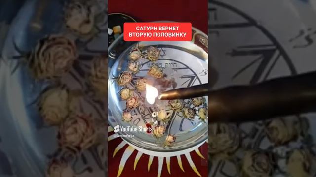 НОВОЕ ЗНАКОМСТВО #онлайн #ритуал #shorts #светланаведа смотреть онлайн