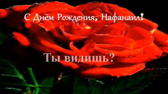 Смешное поздравление. С Днём рождения, Нафанаил! смотреть онлайн