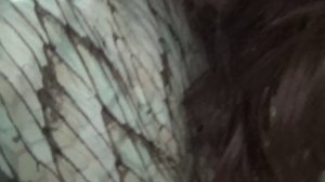 Рубашка шифоны  и ожерелья！！