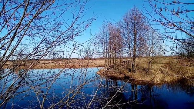 Река Ипуть. Гомельский район, Гомельская область.Iput River. Gomel District, Gomel Region.