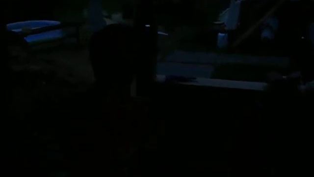 Вдоль ночных дорог =)