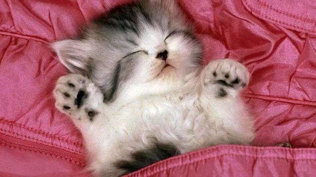 Музыка из рекламы. Действительно симпатичная песня.... смотреть онлайн