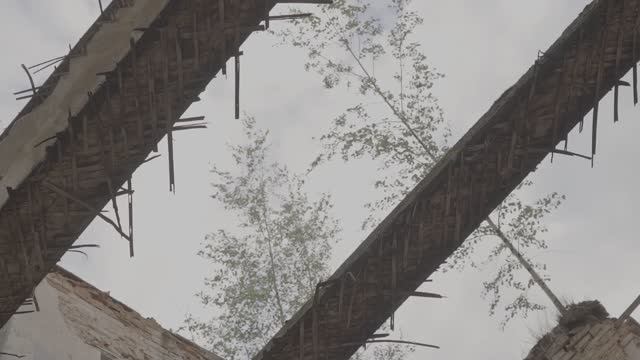 КОНСЕРВАЦИЯ