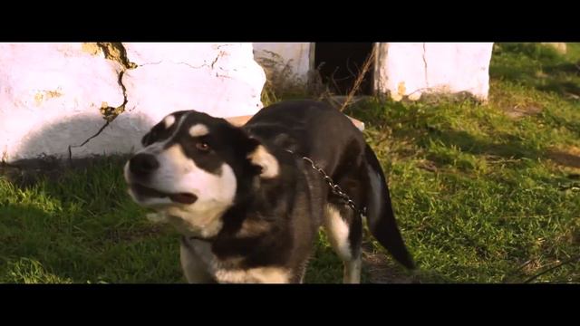 БЕЗ МУЗЫКИ/ Группа Жюль Верн - Hey Na Na Na смотреть онлайн