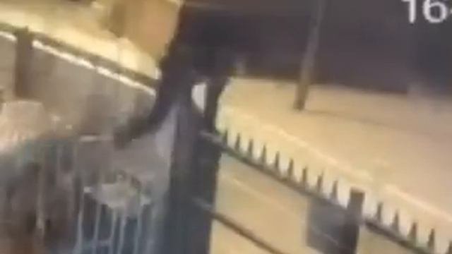 Грабитель лезет через забор и застревает. 1
