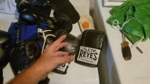 Cleto Reyes Heavy bag gloves