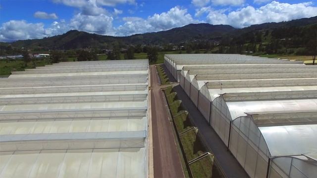 PanAmerican Seed's New Greenhouses