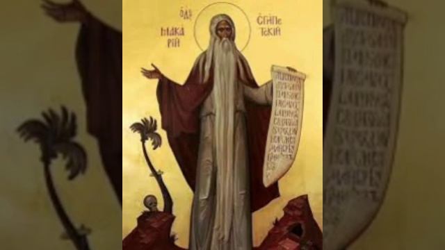 Нам надо учиться и учиться у Святого Макария смотреть онлайн