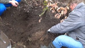 Ямадори с Игорем Ислентьевым Часть 2 Копаем дуб.