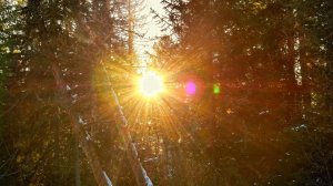 ВОСХОД СОЛНЦА