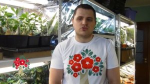 Нижний подогрев и искусственное освещение для адениумов