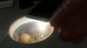Инкубация куриных яиц. Блиц 48. 17.03.2019 2 часть