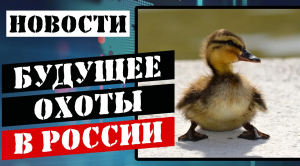 Утиная территория 2023 (1)