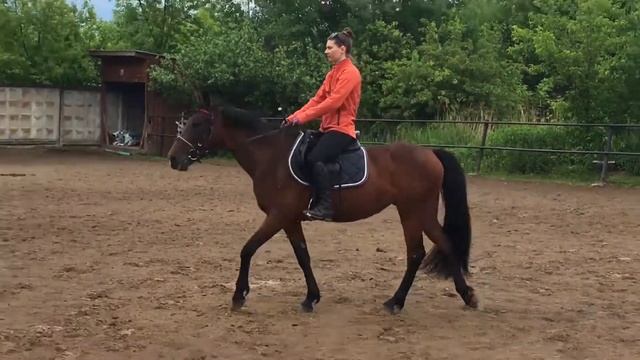 кобылка пони класс смотреть онлайн