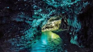 Waitomo Glowworm Caves | North Island | New Zealand