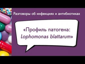 Профиль патогена: Lophomonas blattarum