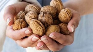 ЧТО БУДЕТ ЕСЛИ ГРЕЦКИЕ ОРЕХИ ЕСТЬ КАЖДЫЙ ДЕНЬ...