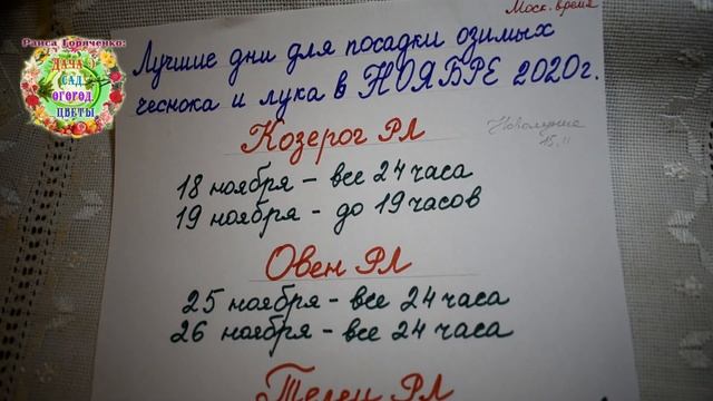 Лучшие дни для посадки озимых чеснока и лука в ноябре 2020 года. Агрогороскоп. Агропрогноз смотреть онлайн