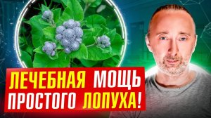 ЛОПУХ - репейник лечит до 100 болезней! Рецепты, заготовка, целебный сок корня лопуха от А до Я!