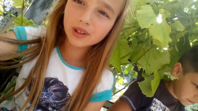 Что можна делать летом???Видео с другом🍺🍦🍦🍦🍦🍻🍻 смотреть онлайн