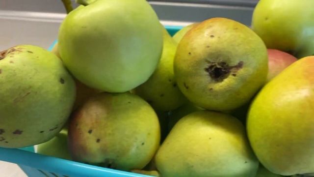 КУРИНЫЕ БЁДРА запечённые с яблоками и грушами/Готовлю только так/Попробуйте Сами смотреть онлайн