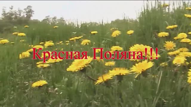 Красная Поляна!!!. # Земляки mp4