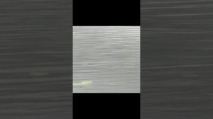 усадьба Михалково