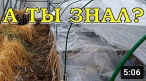 Готовим ТЕПЛИЦУ к работе. Первые посадки???