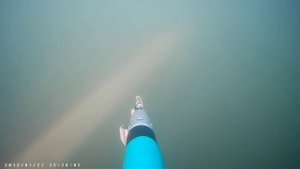 Рудная пристань, Приморский край, Подводная охота  5 август 2016. Primorsky Krai, Spearfishing
