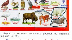Страница 35 Рабочая тетрадь по окружающему миру за 4 класс 1 часть Плешаков Школа России