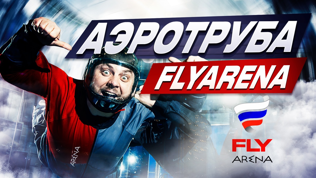 Fly arena