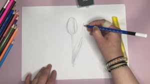 Урок 2. Рисуем тюльпан простым карандашом.