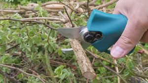 Секатор под аккумуляторы Makita